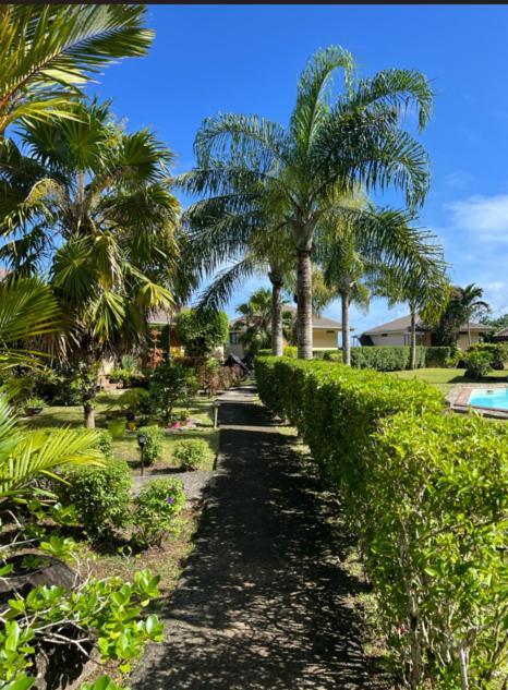 Bungalow Tipanier - Vue Parfaite Tevaitoa Экстерьер фото